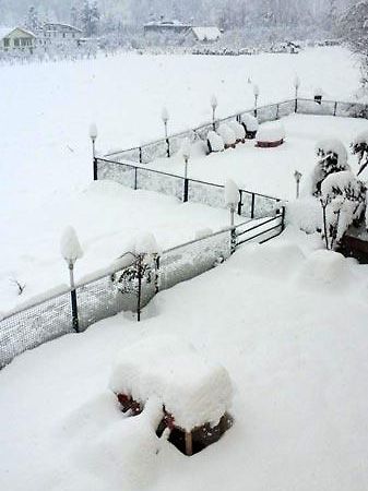 Hotel Mountain Inn Manāli Εξωτερικό φωτογραφία