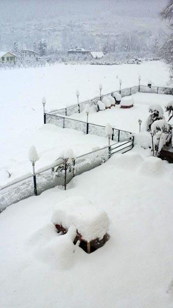 Hotel Mountain Inn Manāli Εξωτερικό φωτογραφία
